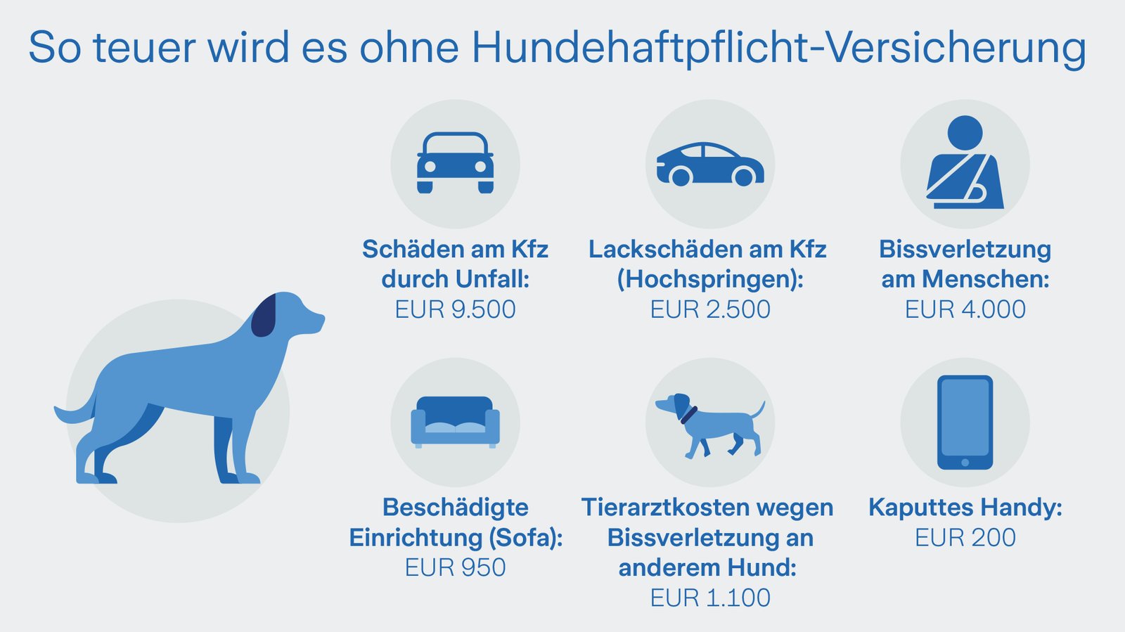 Grafik zeigt Kosten von typische Schadensfälle die ein Hund verursachen kann: Schäden am Kfz durch Unfall, Lackschäden am Kfz (Hochspringen), Bissverletzung am Menschen, Tierarztkosten wegen Bissverletzung an anderen Hund, Beschädigte Einrichtung, usw.