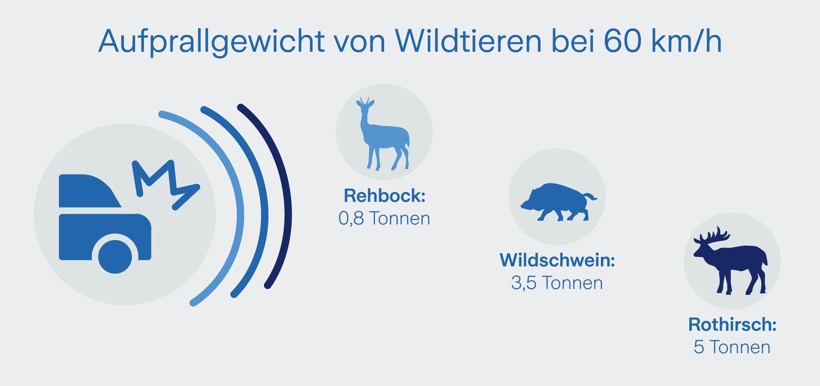 Kräfte von bis zu 6 Tonnen wirken bei einem Zusammenstoß 