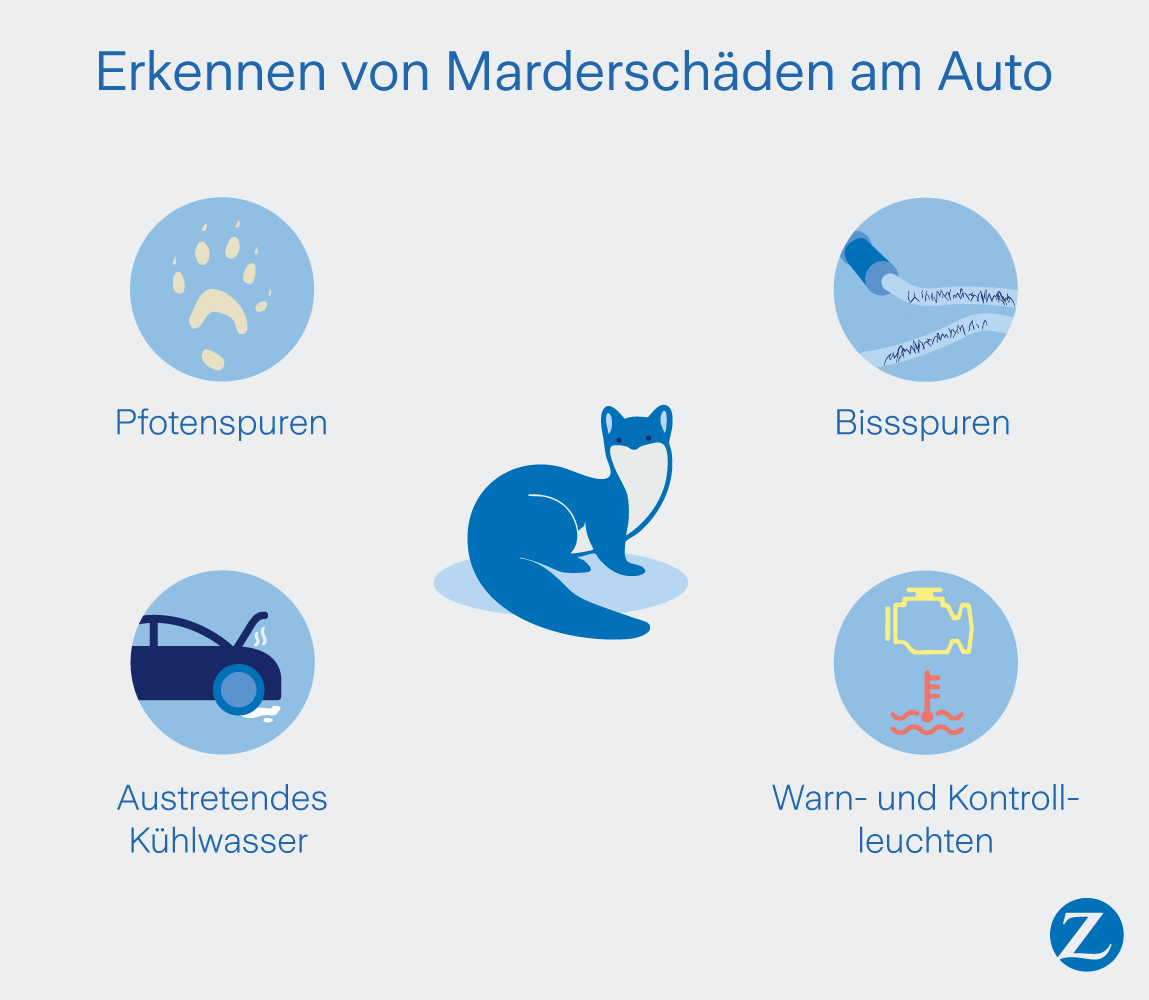 Pfoten- oder Bissspuren sowie austretendes Kühlwasser und aktive Warn- und Kontrollleuchten sind ein Indiz, dass ein Mader am Werk war. 