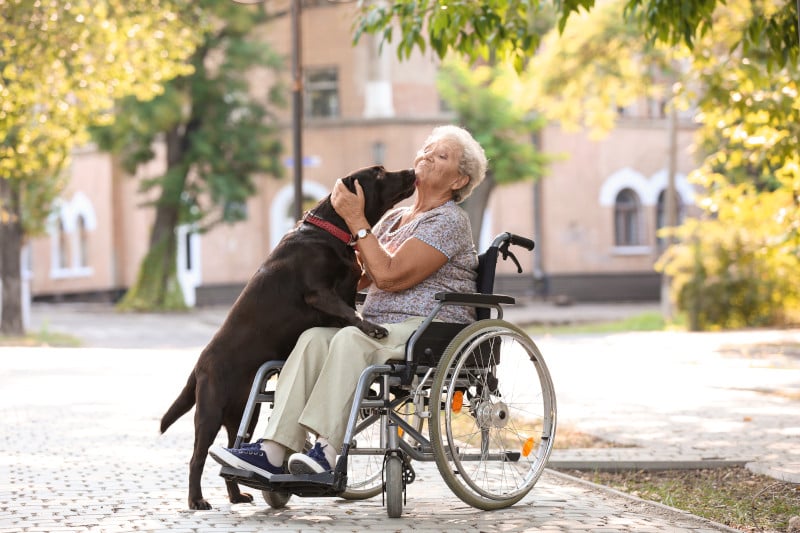 Eine Pensionistin sitzt im Rollstuhl und spielt mit ihrem Hund.