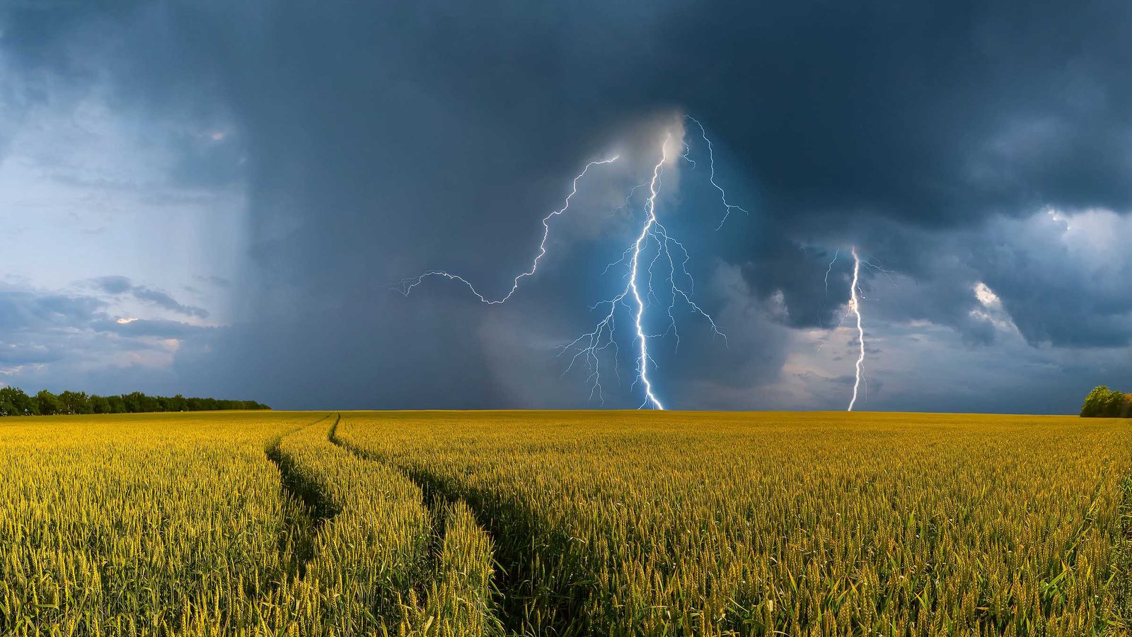 Ein Unwetter zieht über einen Getreidefeld auf. Man sieht einen Blitz am Himmel
