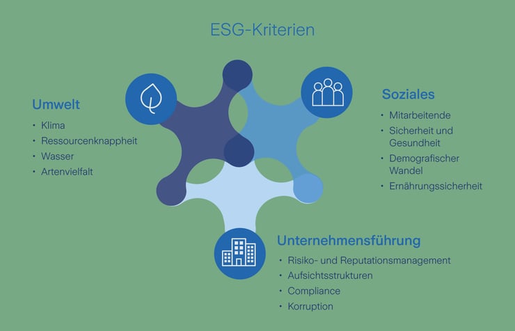 graphische Darstellung der ESG-Kriterien: Umwelt, Soziales und Unternehmensführung
