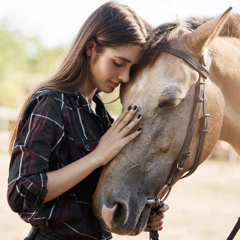 Pferdehaftpflicht online versichert