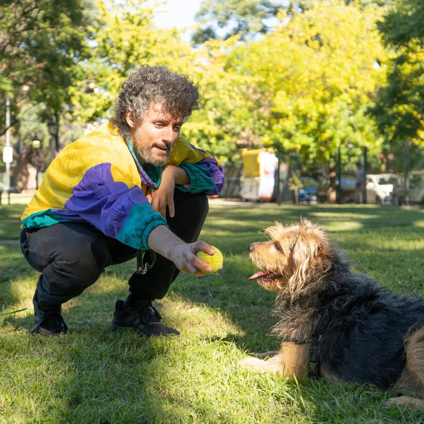 Hundehaftpflicht online versichert