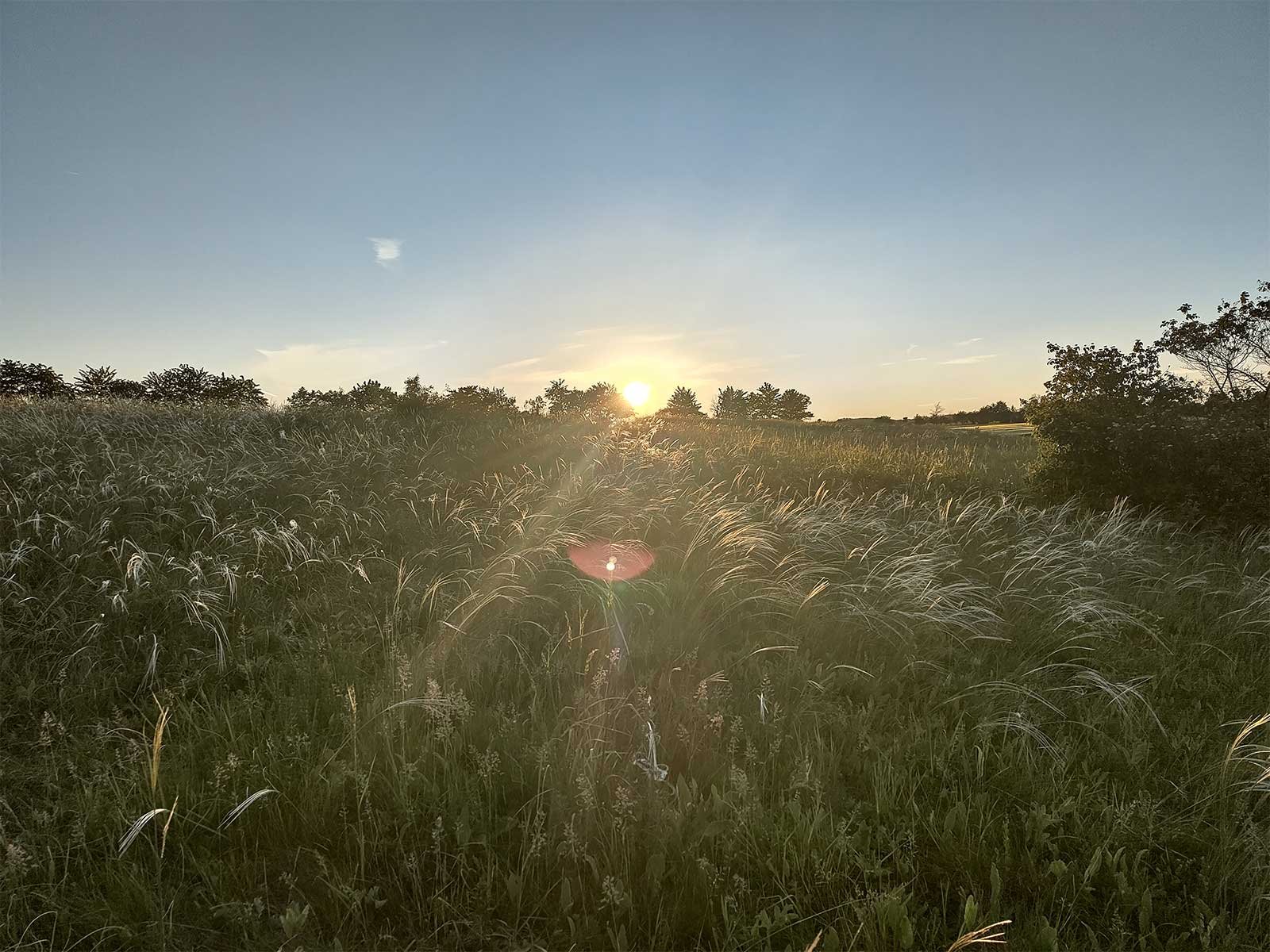 Sonnenuntergang im Weinviertel