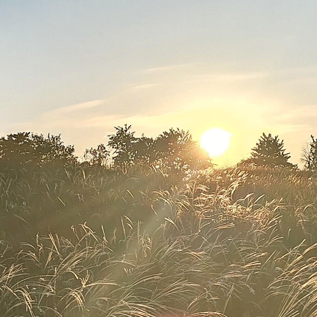 Sonnenuntergang